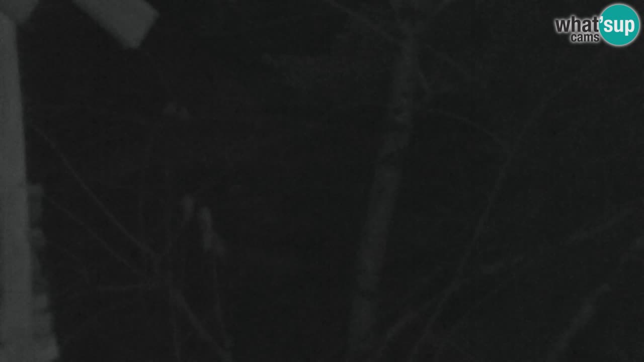 Webcam Lukanja – Water Village | Pohorje Houses