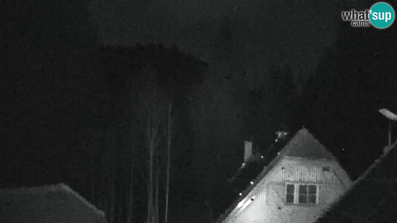 Webcam Lukanja – Water Village | Pohorje Houses