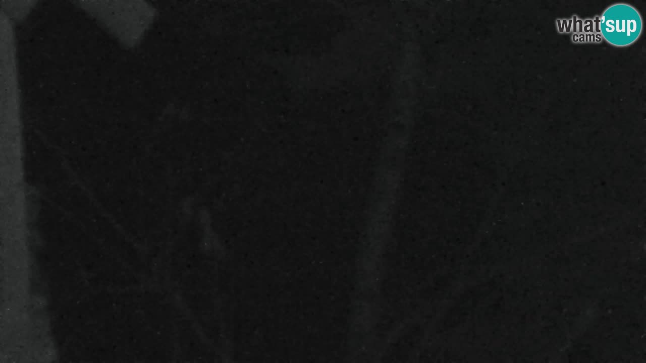 Webcam Lukanja – Water Village | Pohorje Houses