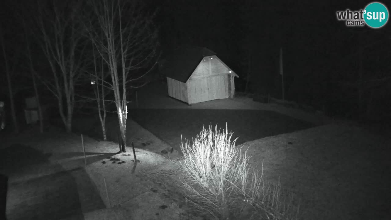 Webcam Lukanja – Water Village | Pohorje Houses