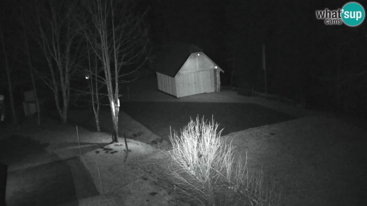 Webcam Lukanja – Water Village | Pohorje Houses