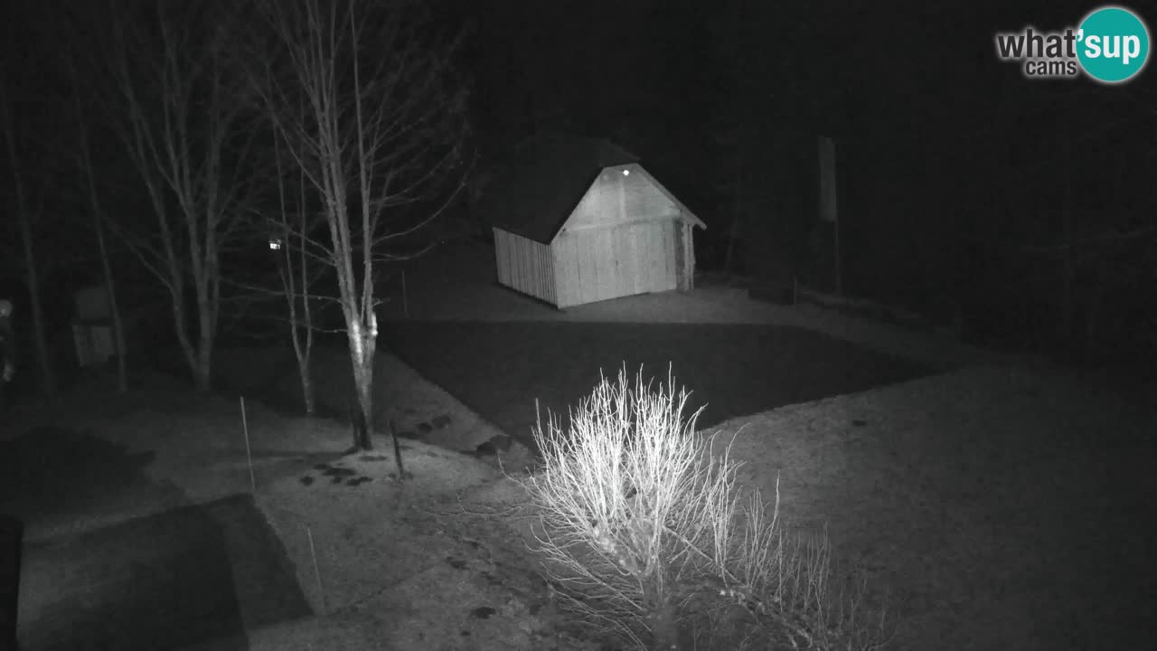 Webcam Lukanja – Water Village | Pohorje Houses