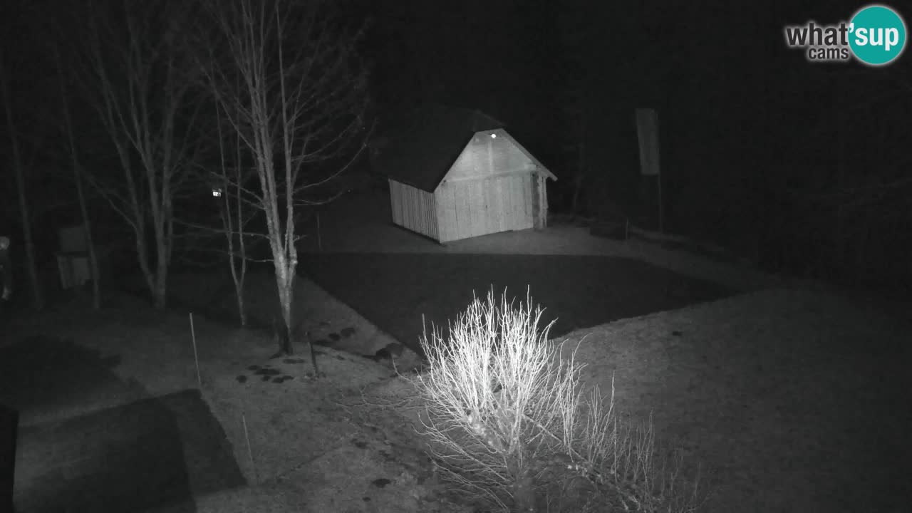 Webcam Lukanja – Pohorje houses a Water village