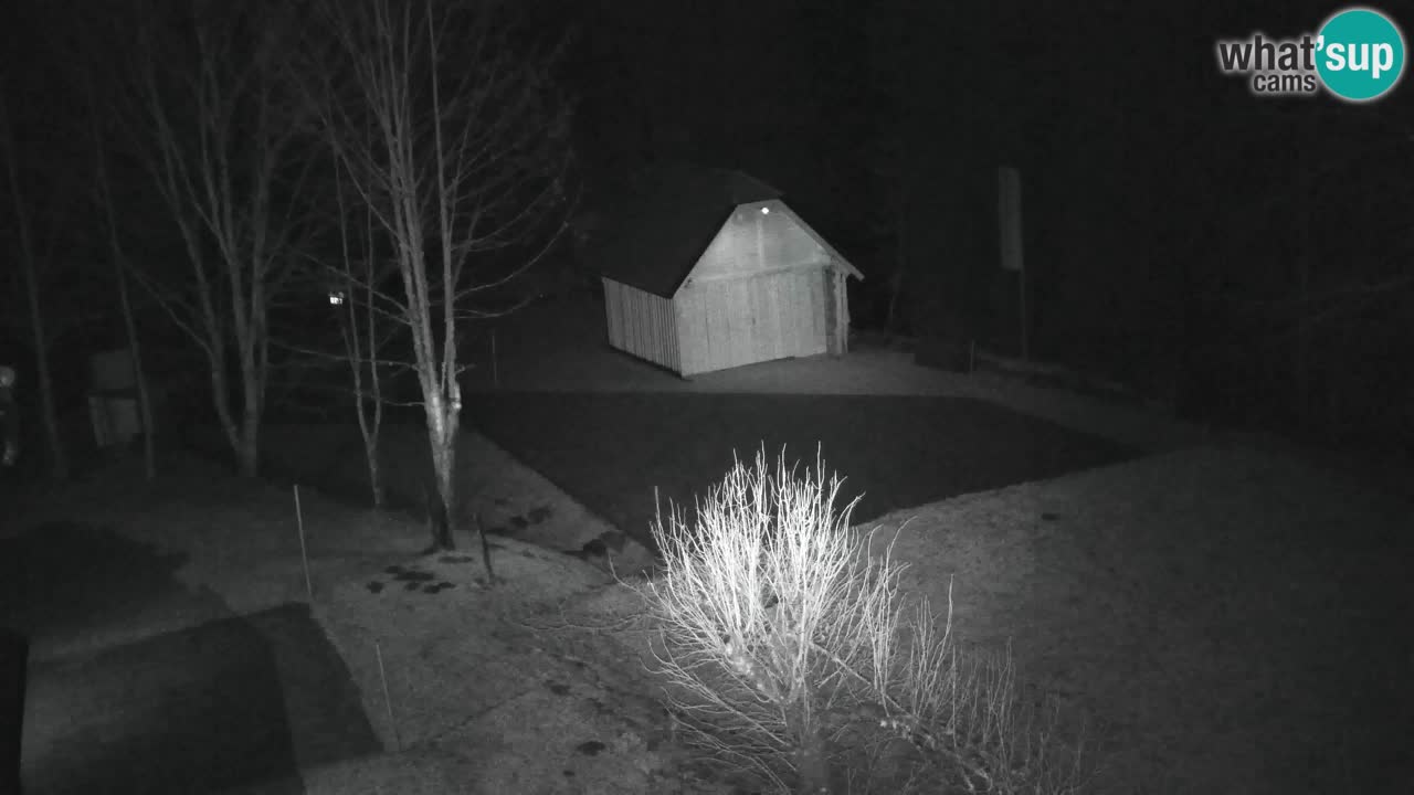 Webcam Lukanja – Water Village | Pohorje Houses