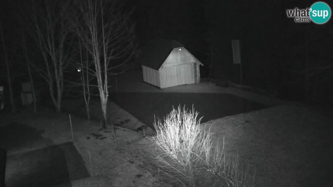 Webcam Lukanja – Water Village | Pohorje Houses