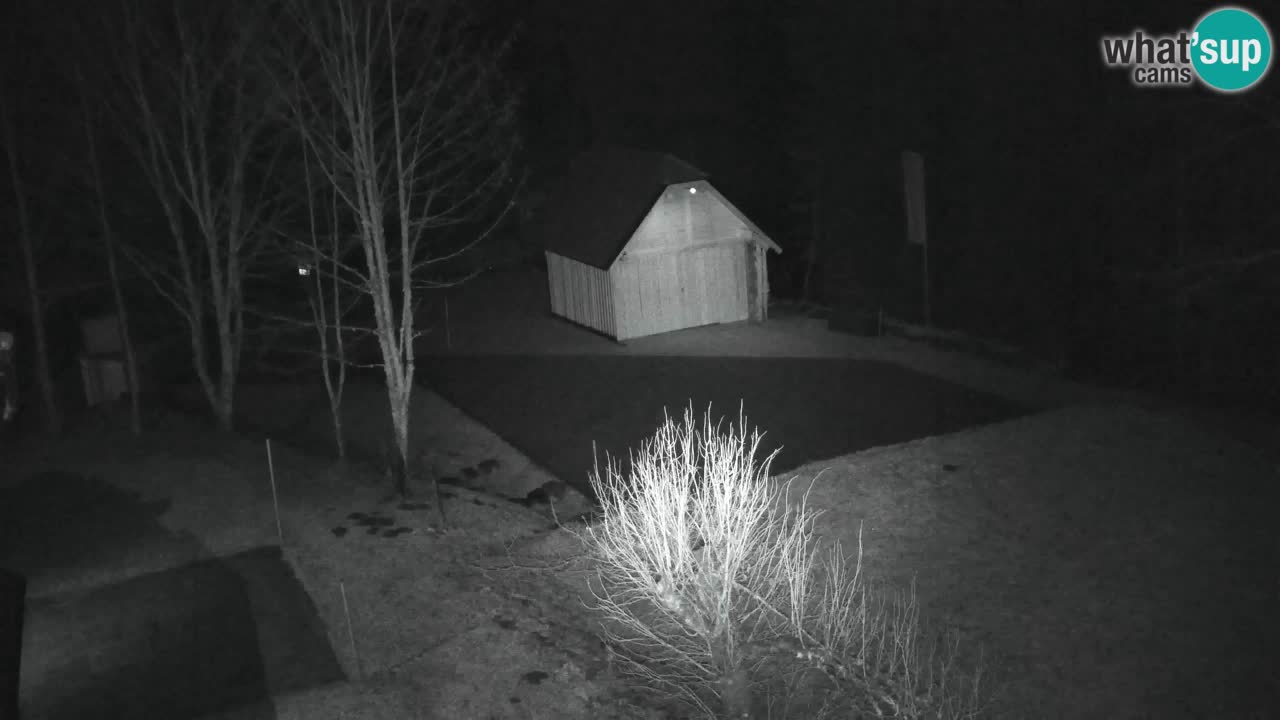 Webcam Lukanja – Water Village | Pohorje Houses