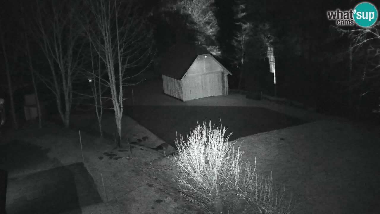 Webcam Lukanja – Pohorje houses a Water village