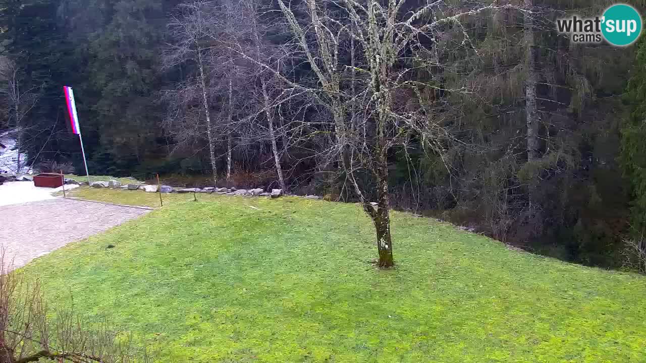 Webcam Lukanja – Pohorje houses a Water village