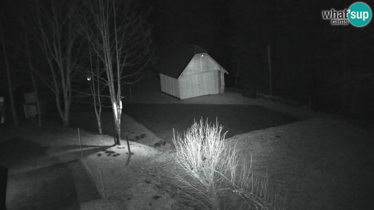 Webcam Lukanja – Water Village | Pohorje Houses