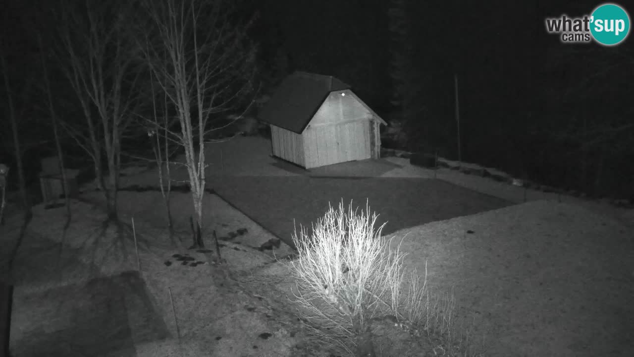 Webcam Lukanja – Pohorje houses a Water village