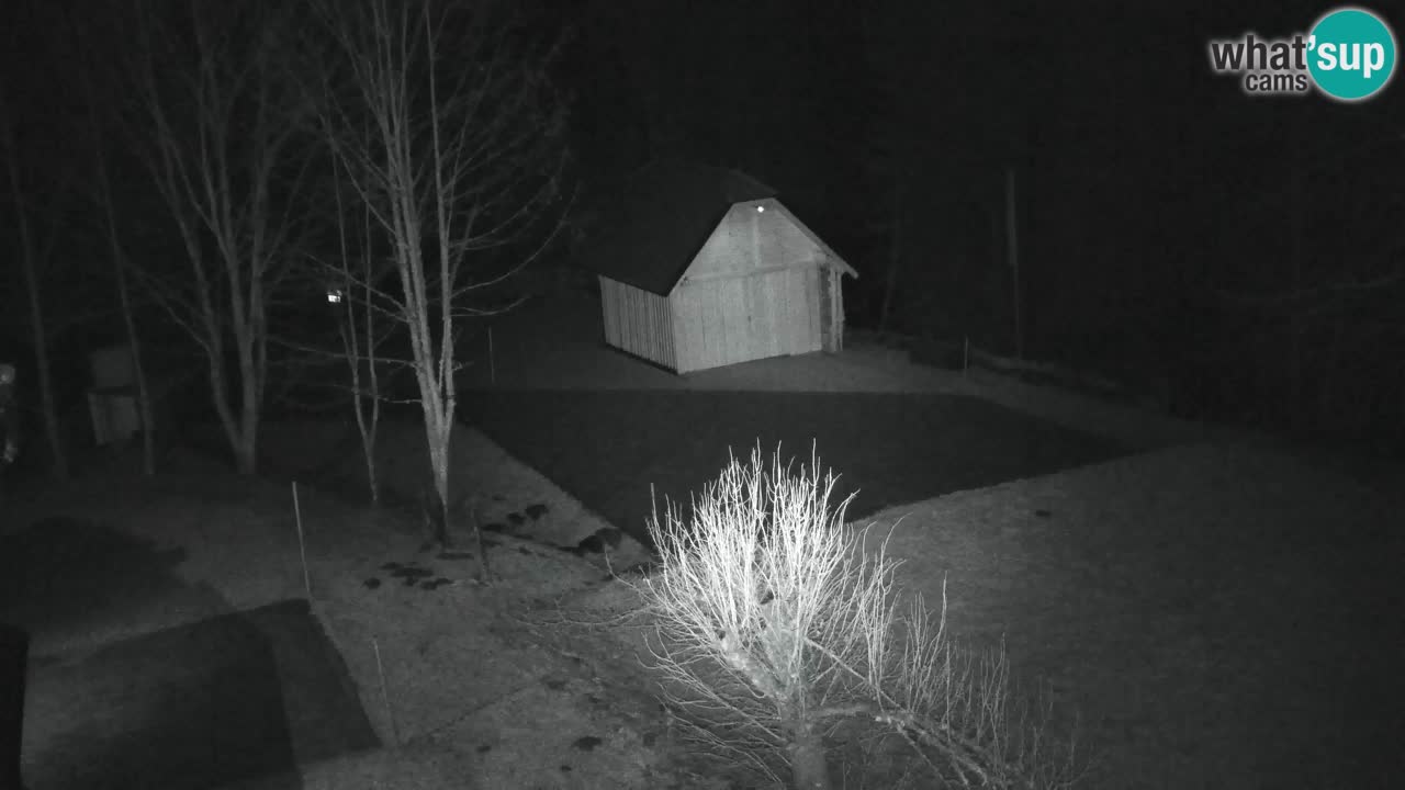 Webcam Lukanja – Water Village | Pohorje Houses