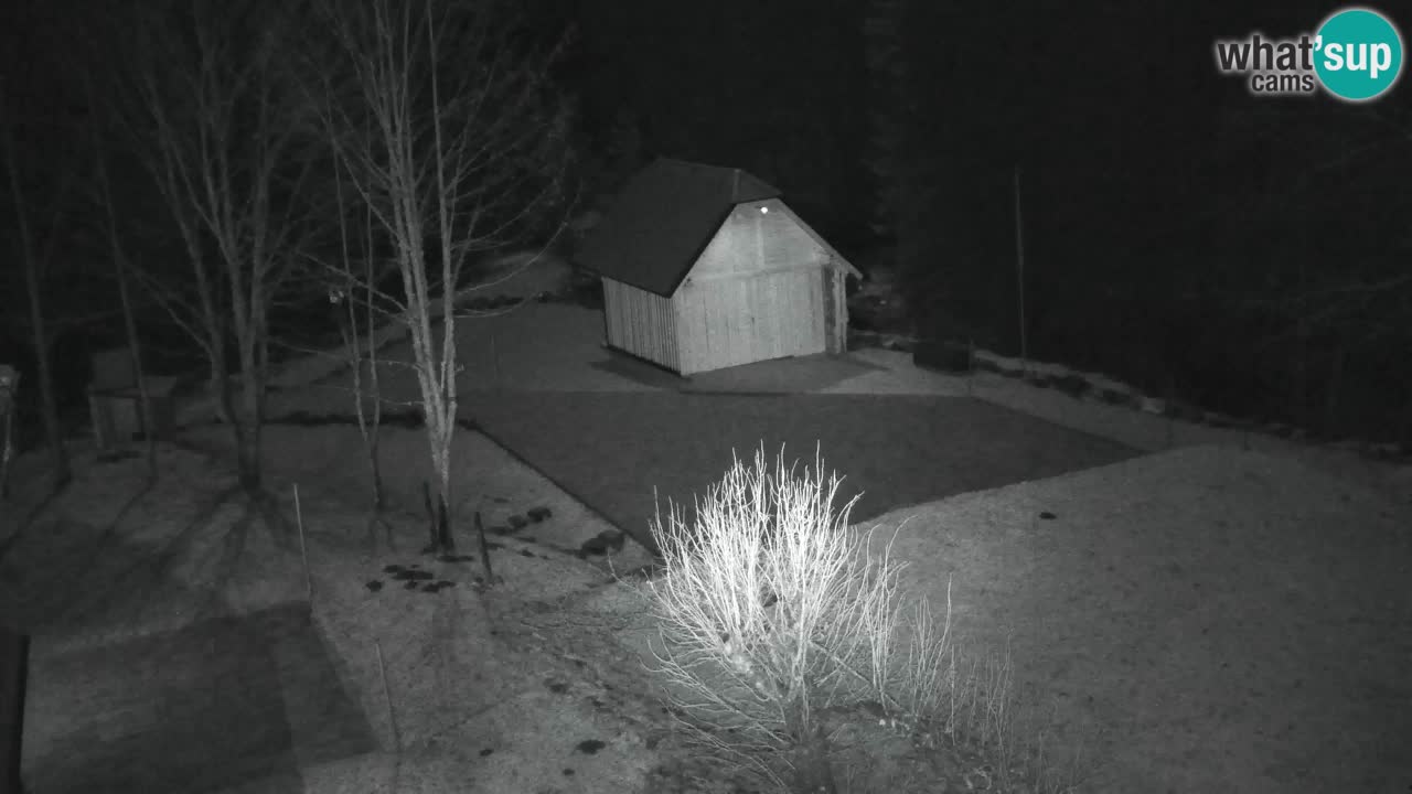 Webcam Lukanja – Water Village | Pohorje Houses