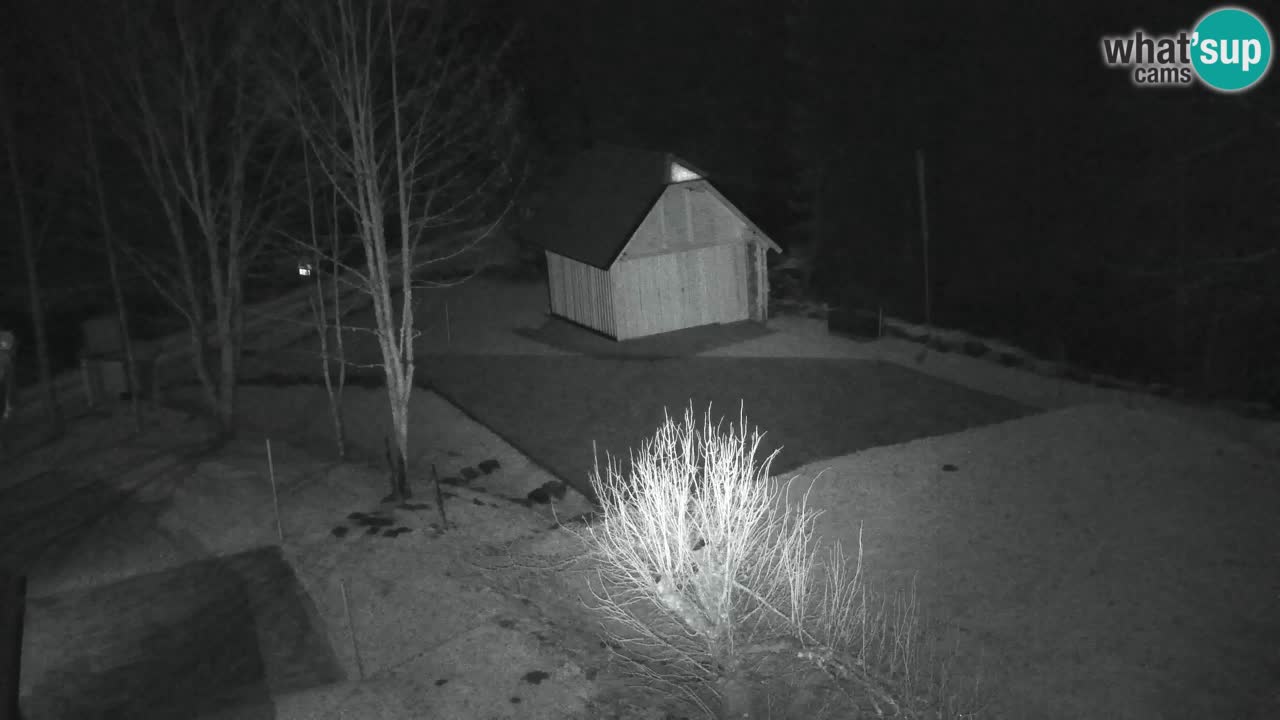 Webcam Lukanja – Water Village | Pohorje Houses