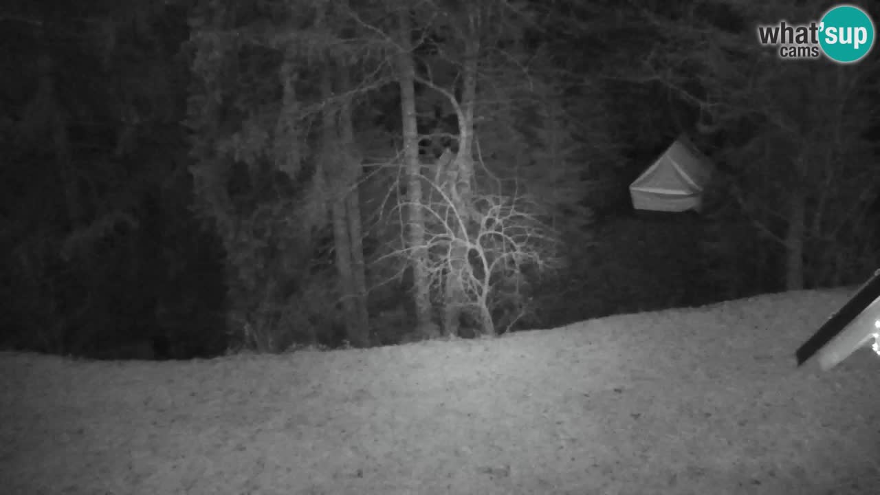 Webcam Lukanja – Pohorje houses a Water village