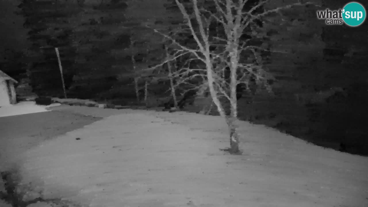 Webcam Lukanja – Pohorje houses a Water village