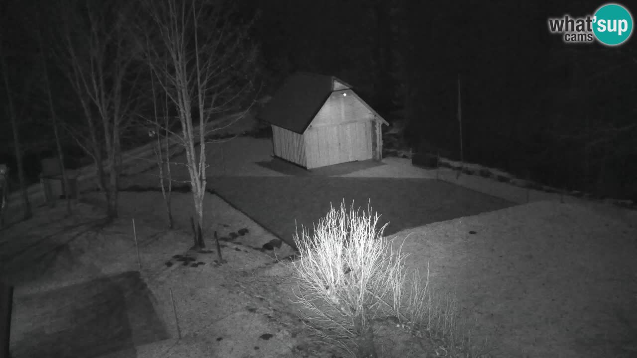 Webcam Lukanja – Water Village | Pohorje Houses