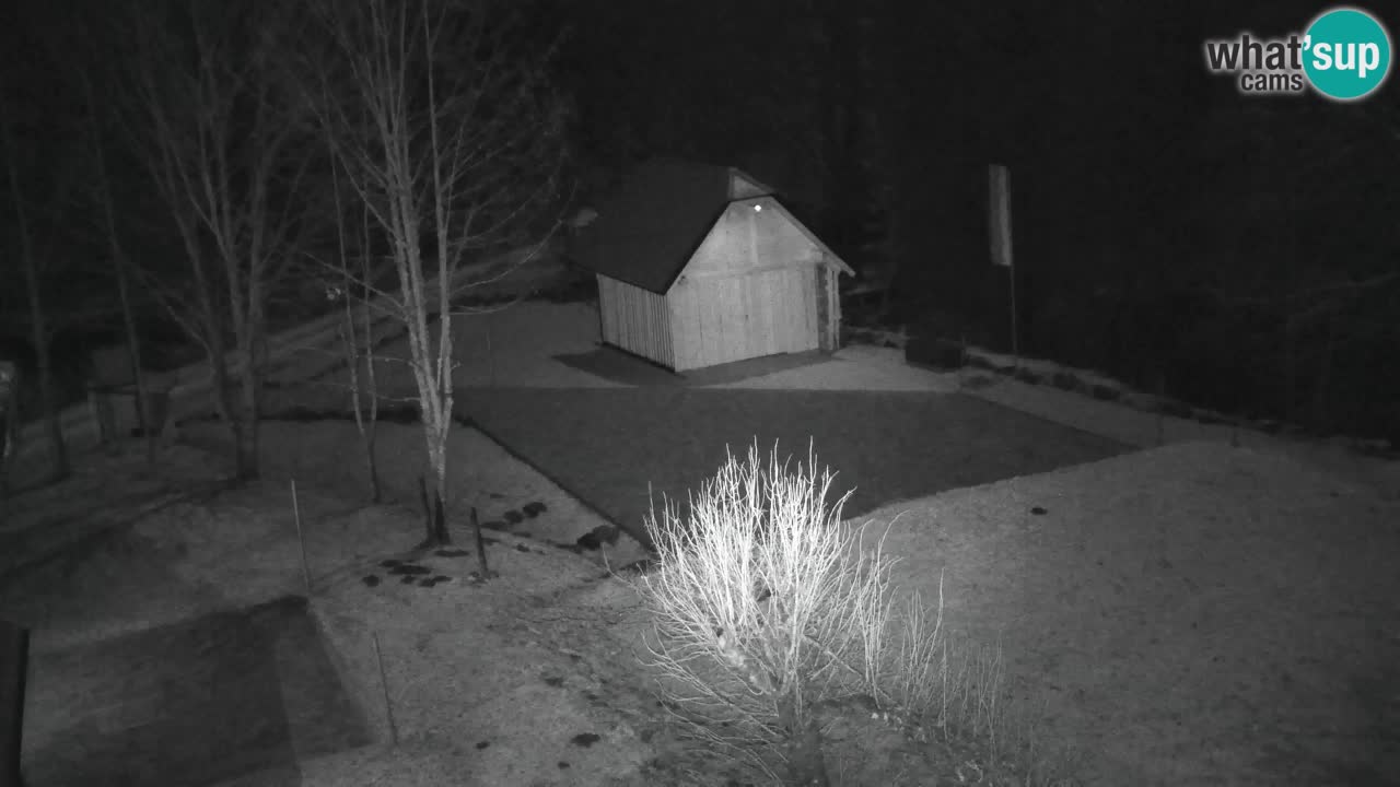 Webcam Lukanja – Water Village | Pohorje Houses