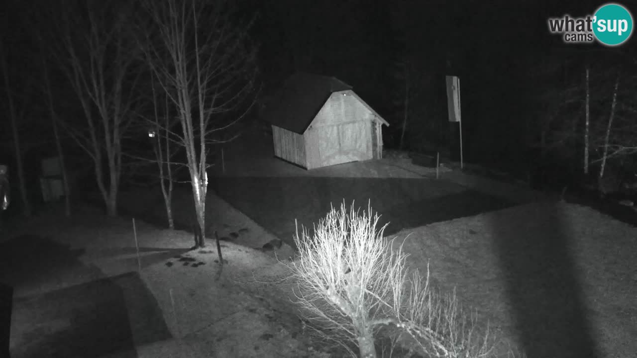 Webcam Lukanja – Water Village | Pohorje Houses