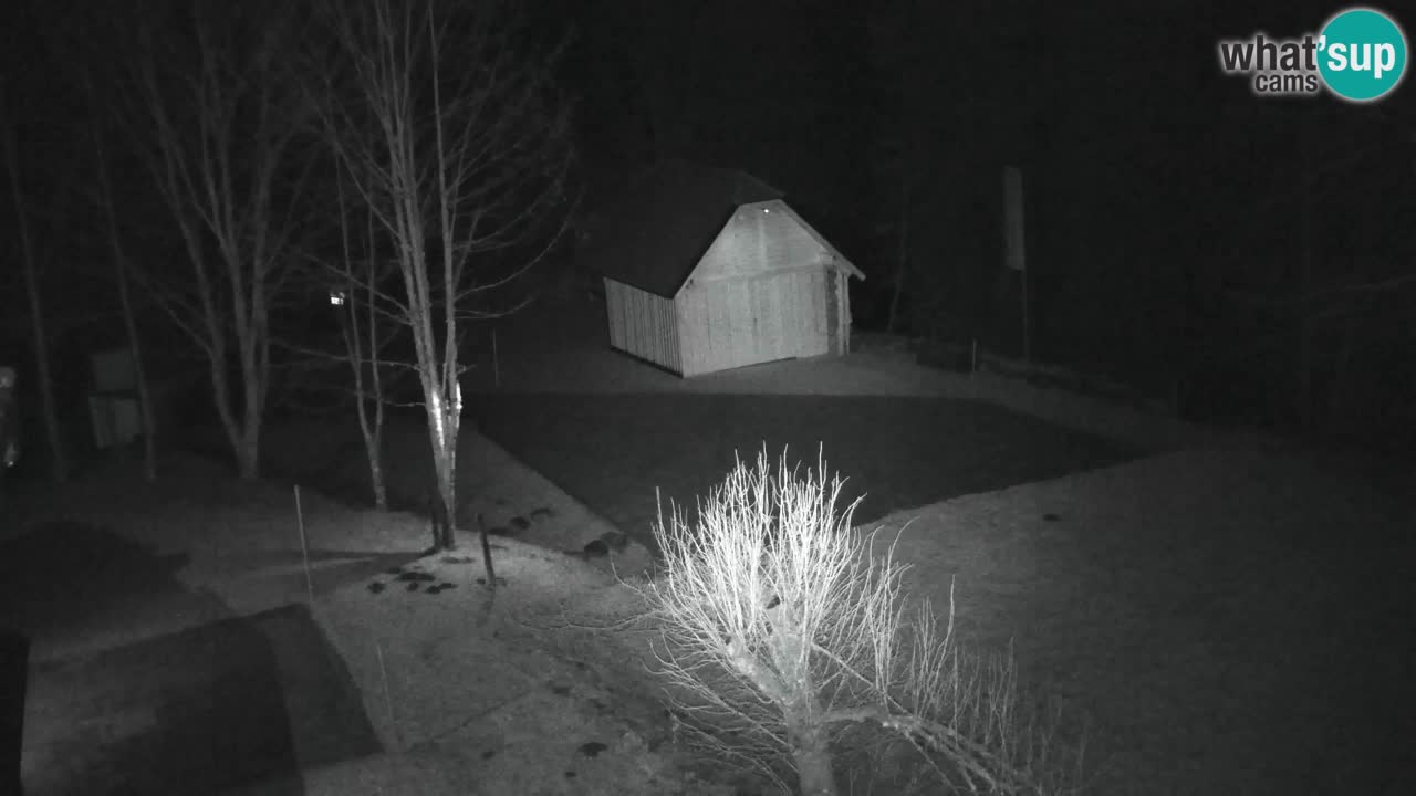 Spletna kamera Lukanja – Water Village | Pohorje Houses