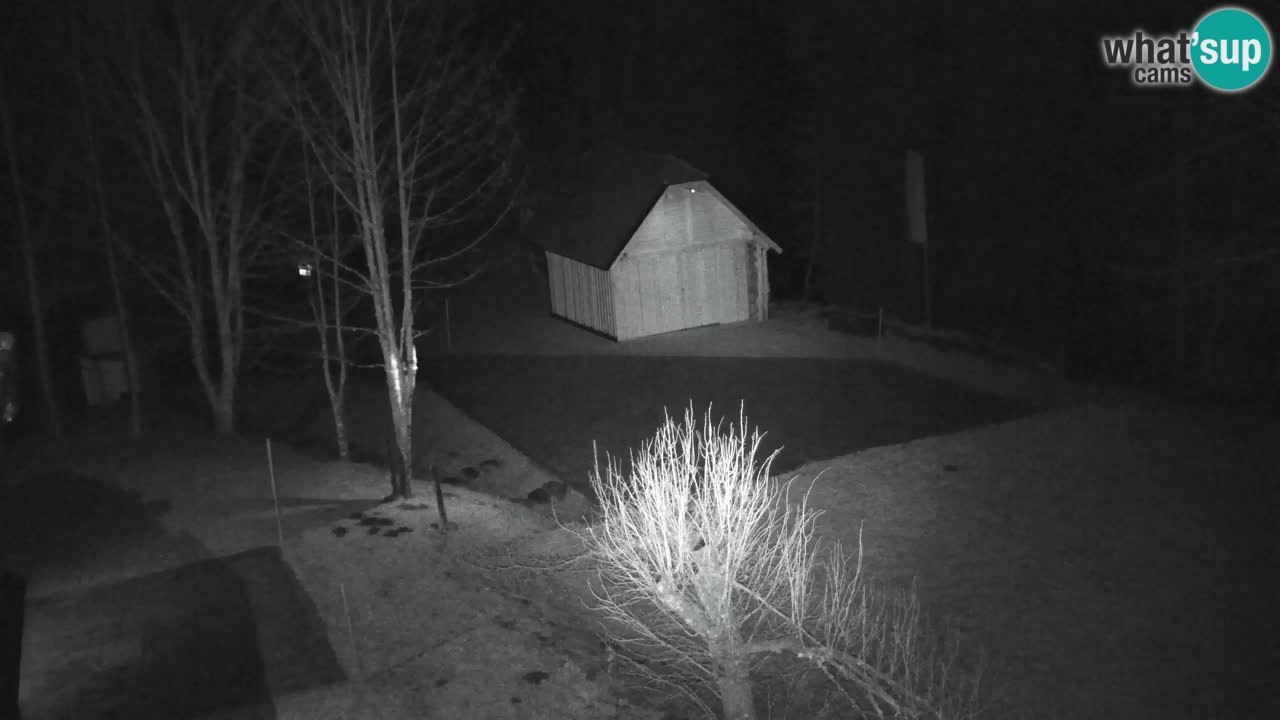 Webcam Lukanja – Water Village | Pohorje Houses