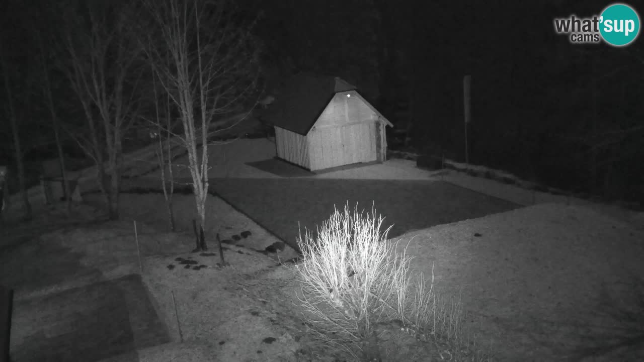 Webcam Lukanja – Water Village | Pohorje Houses