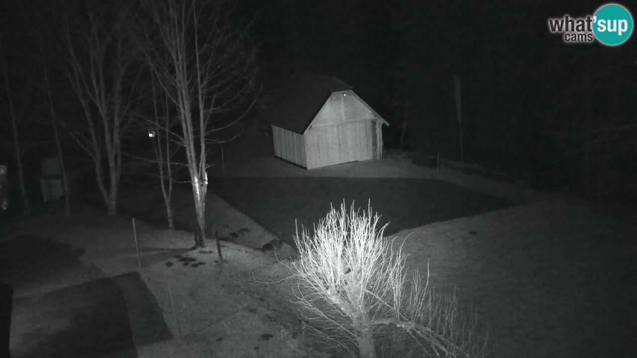 Webcam Lukanja – Water Village | Pohorje Houses