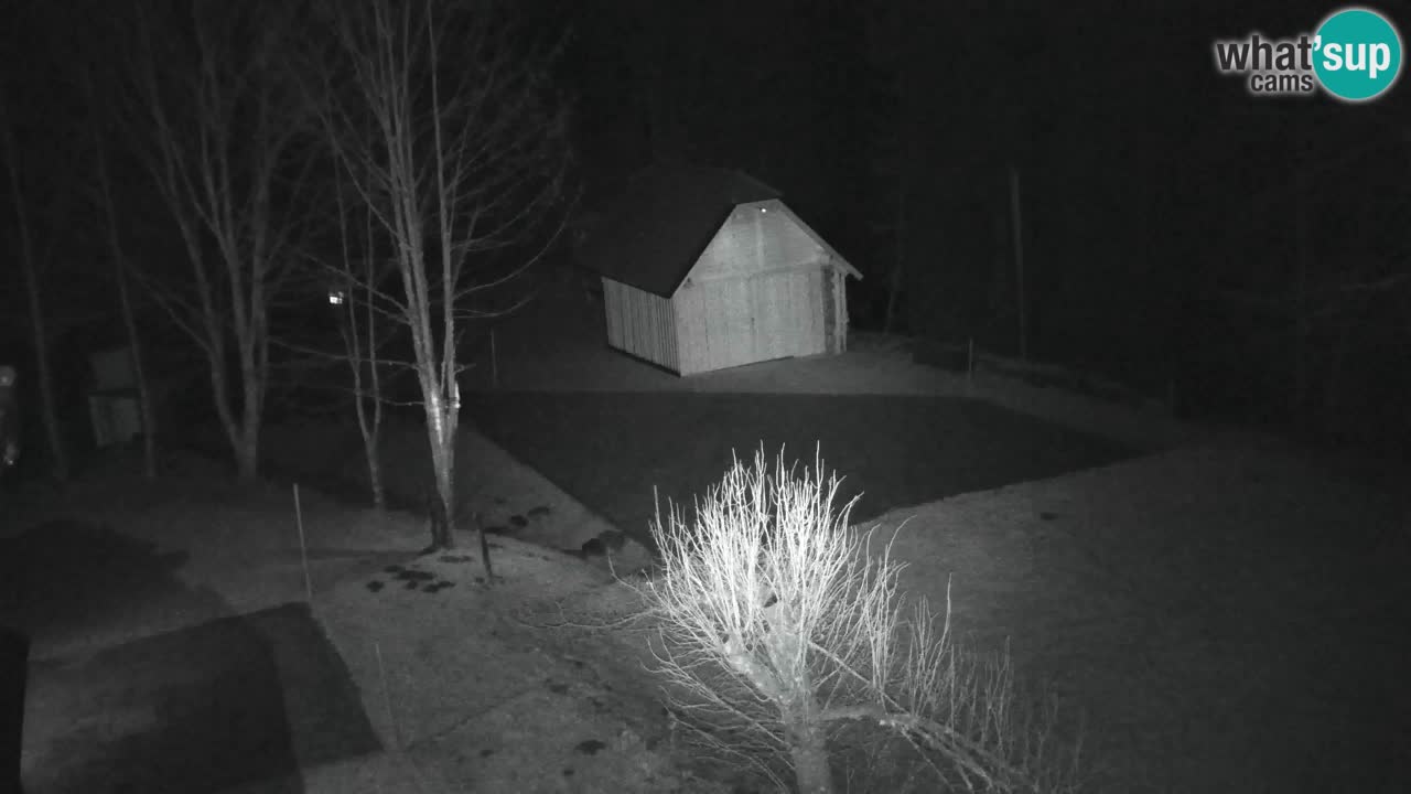 Webcam Lukanja – Pohorje houses a Water village