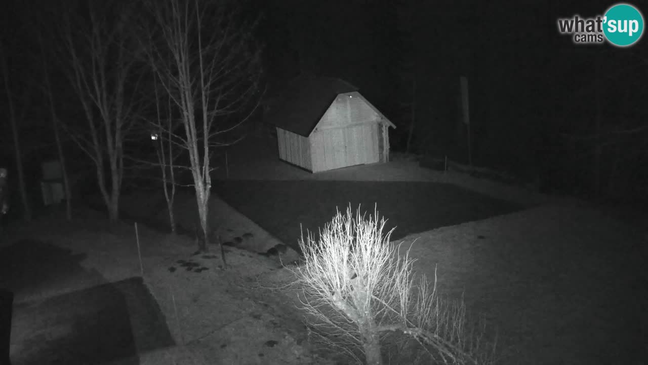 Webcam Lukanja – Water Village | Pohorje Houses