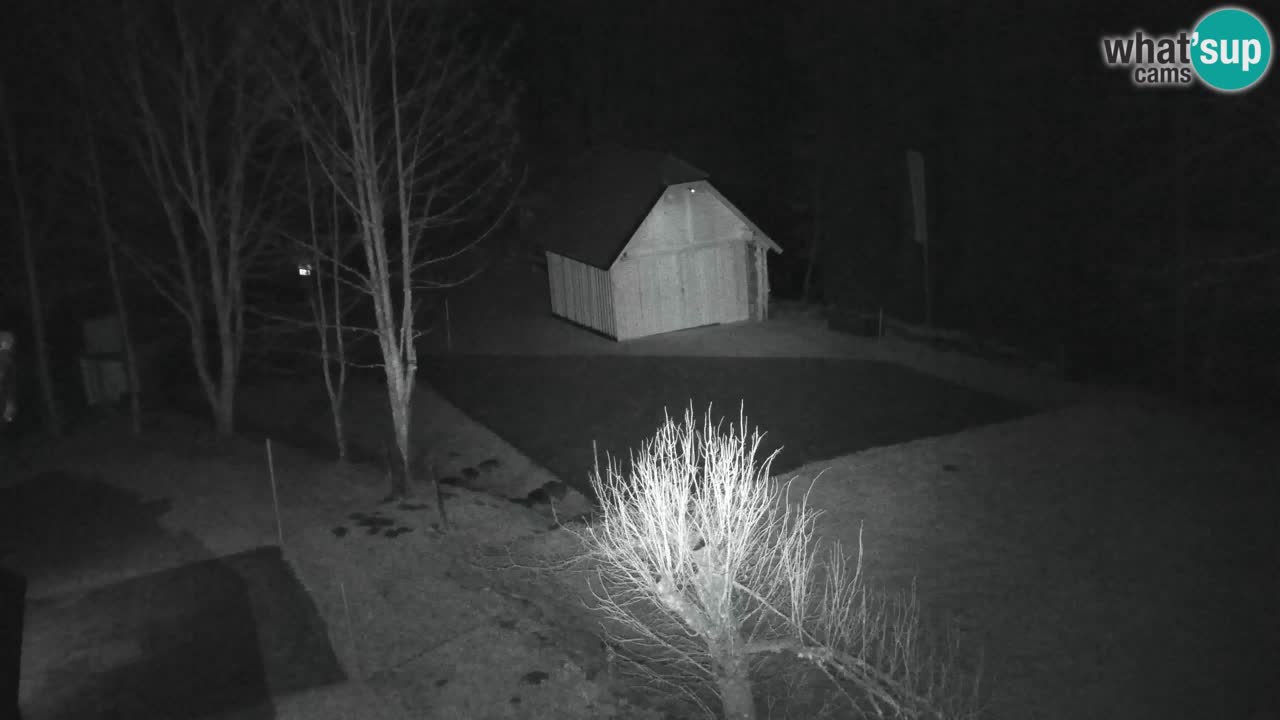 Webcam Lukanja – Water Village | Pohorje Houses