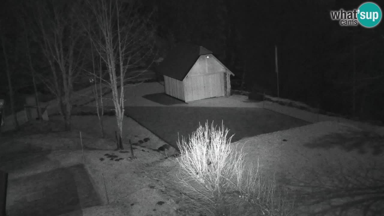 Webcam Lukanja – Water Village | Pohorje Houses