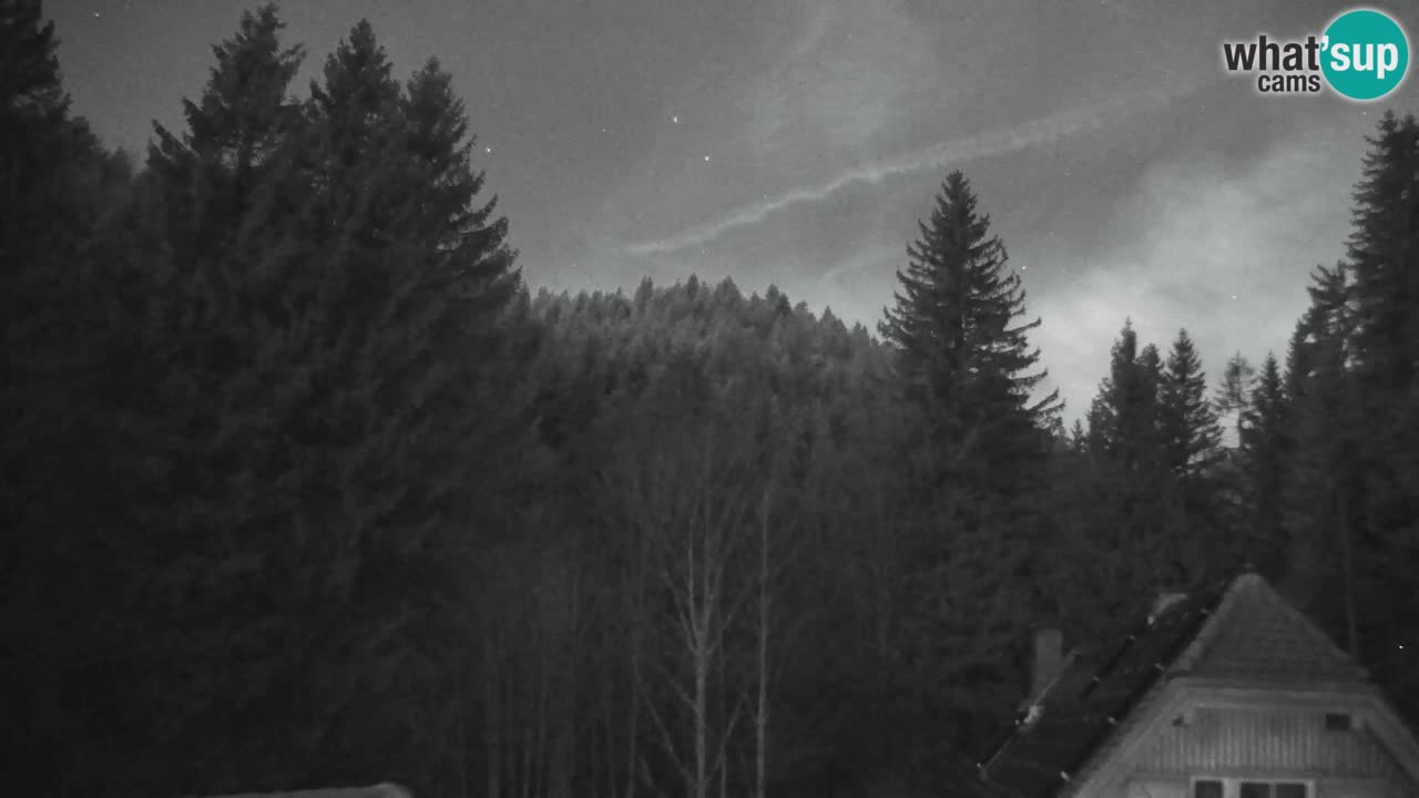 Web kamera Lukanja – Water Village | Pohorje Houses