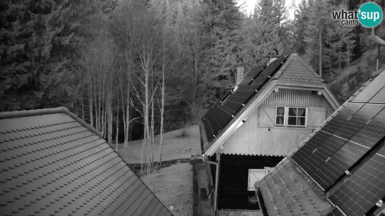 Webcam Lukanja – Pohorje houses a Water village