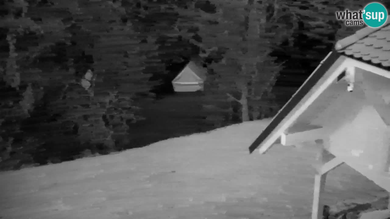 Webcam Lukanja – Water Village | Pohorje Houses