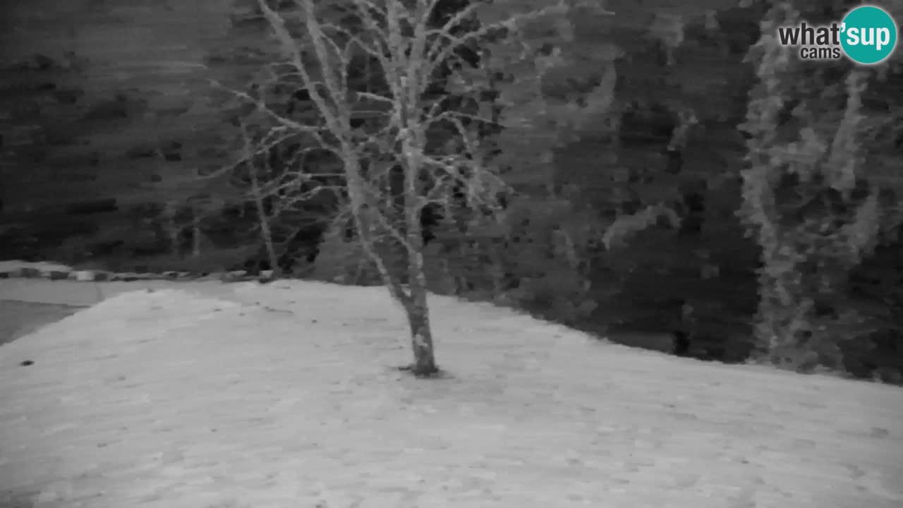 Webcam Lukanja – Water Village | Pohorje Houses