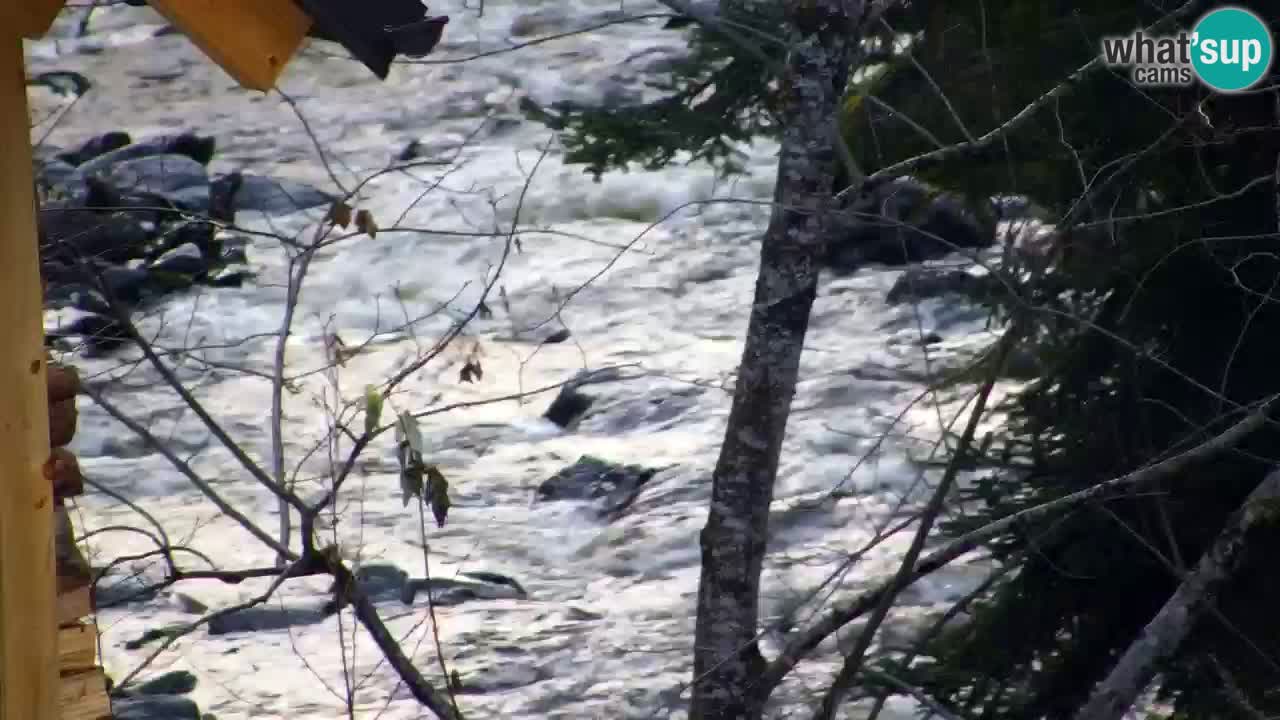 Webcam Lukanja – Pohorje houses a Water village