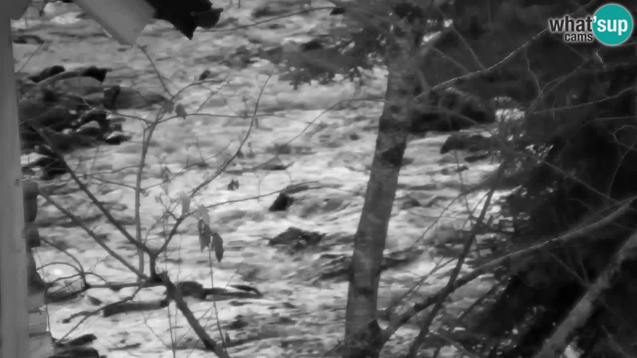 Webcam Lukanja – Water Village | Pohorje Houses