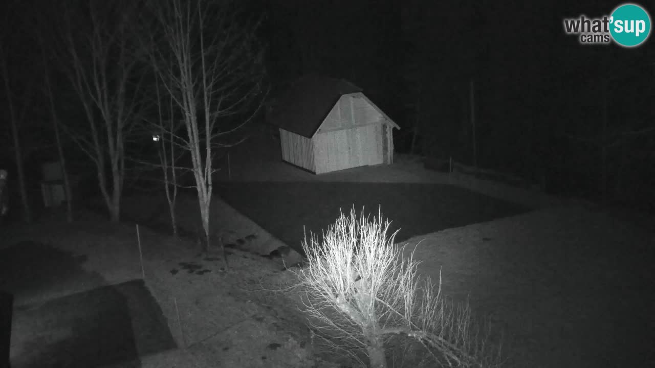 Webcam Lukanja – Water Village | Pohorje Houses