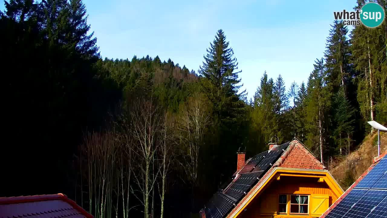 Webcam Lukanja – Water Village | Pohorje Houses