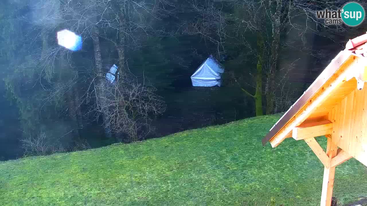 Webcam Lukanja – Pohorje houses a Water village