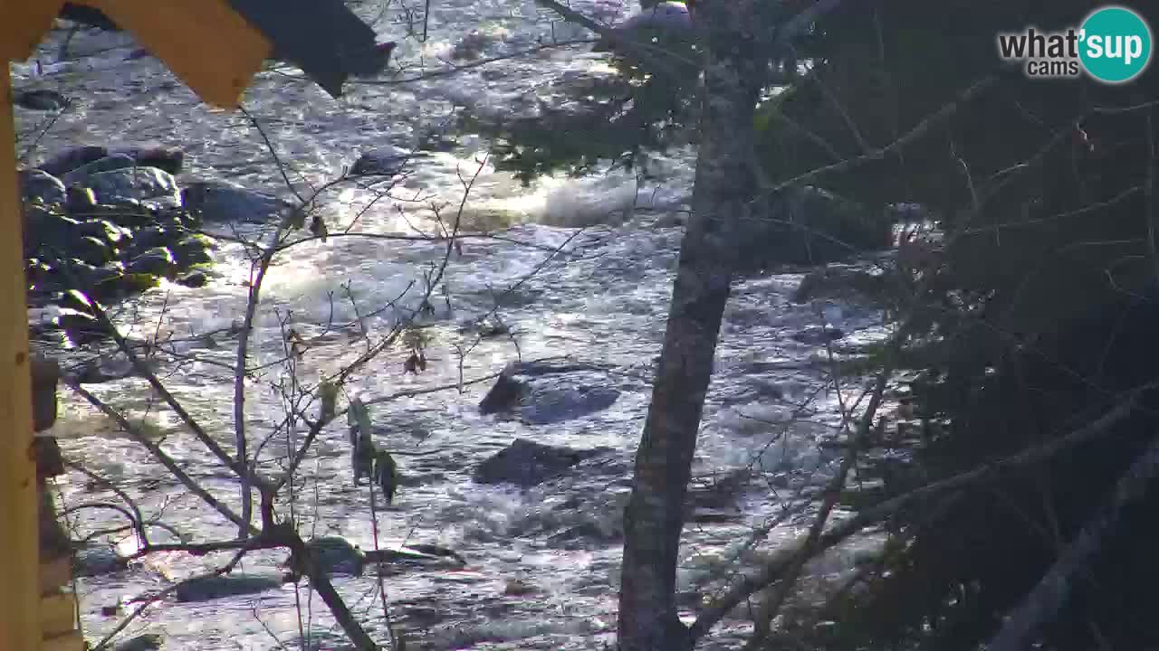Webcam Lukanja – Pohorje houses a Water village