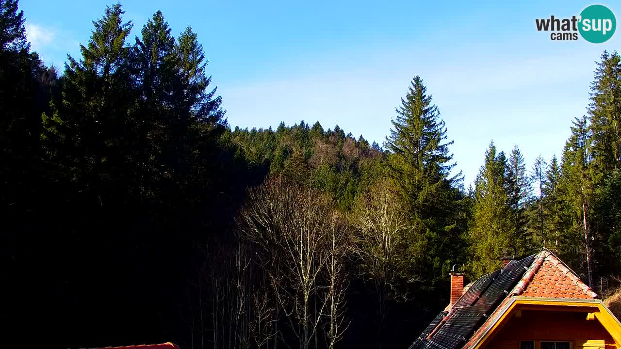 Webcam Lukanja – Water Village | Pohorje Houses