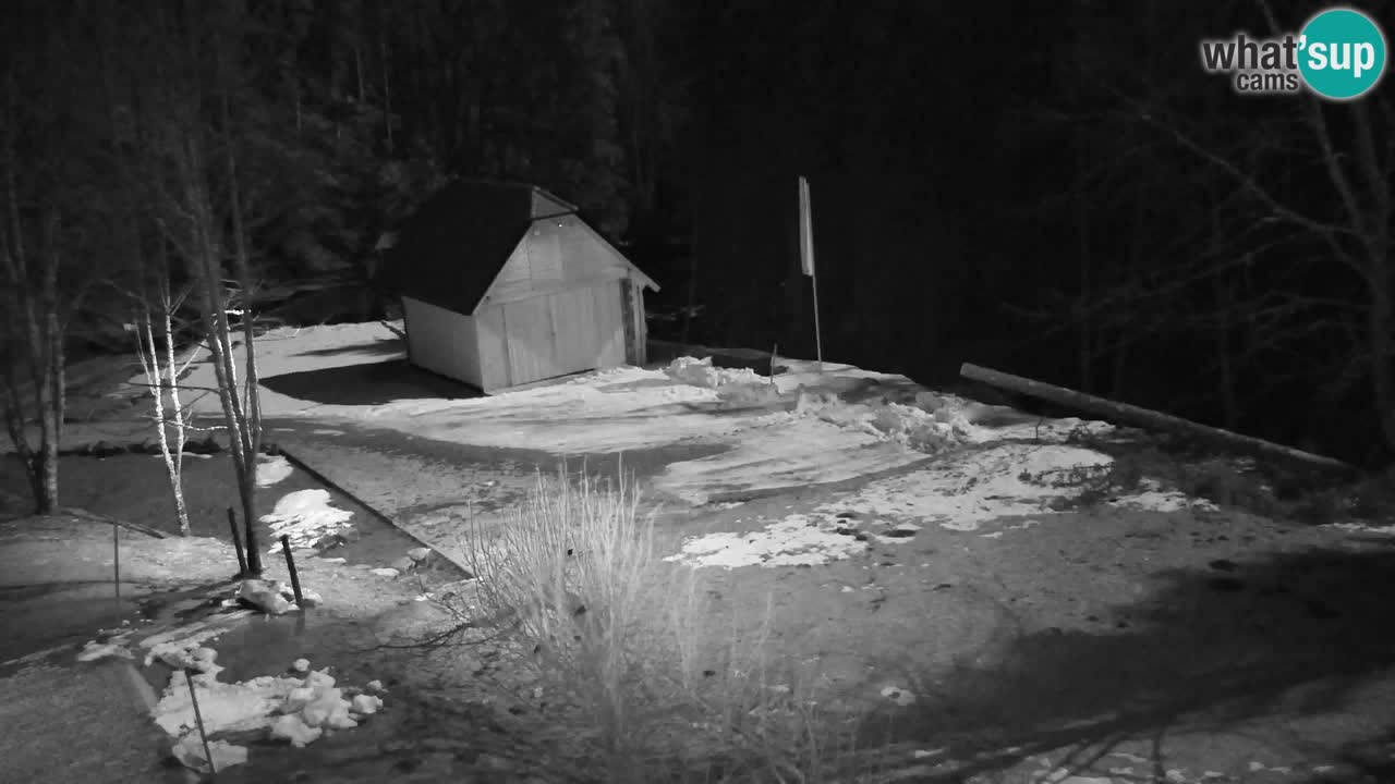 Webcam Lukanja – Water Village | Pohorje Houses