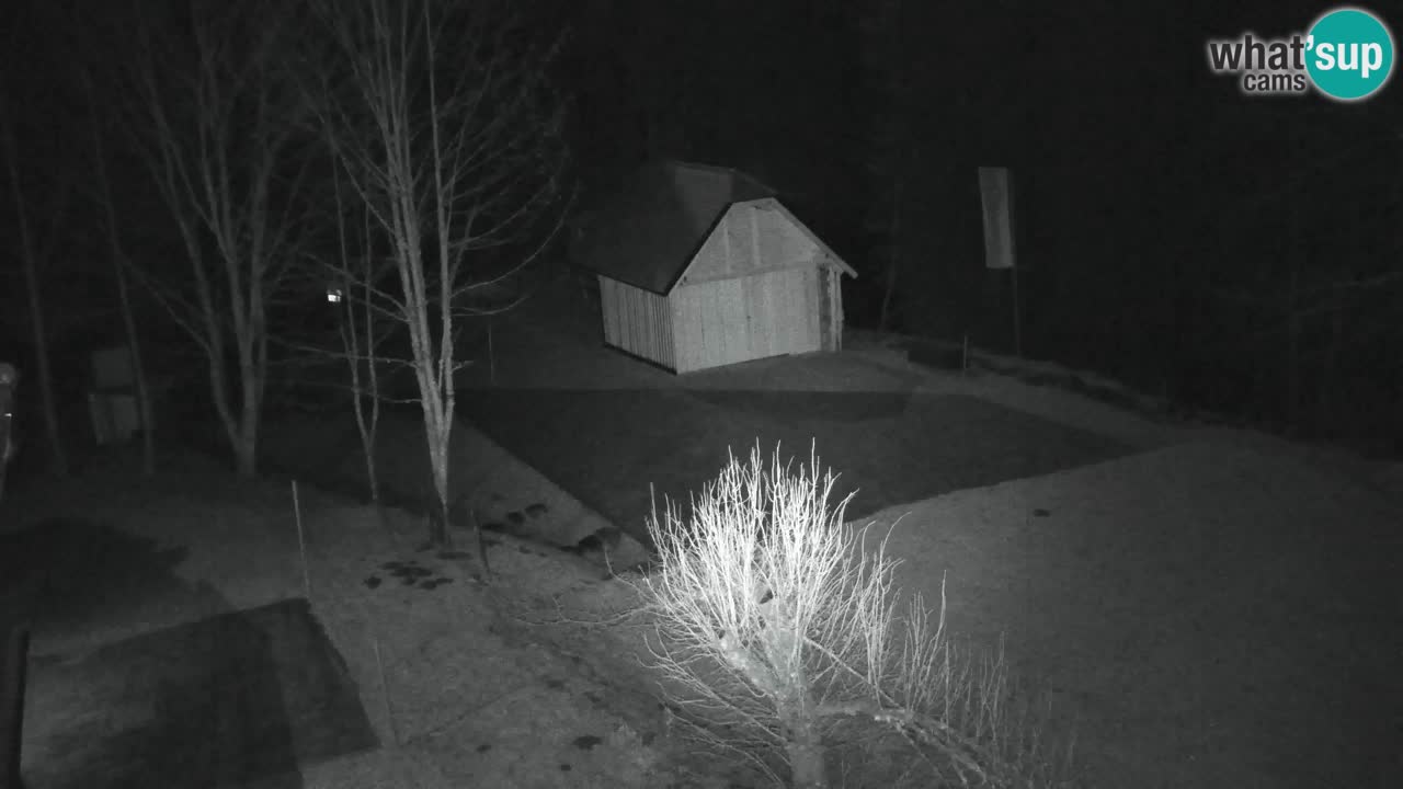 Webcam Lukanja – Water Village | Pohorje Houses