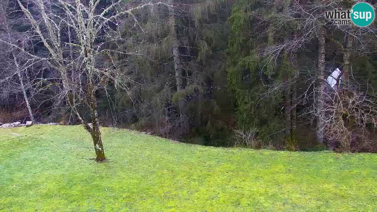 Webcam Lukanja – Water Village | Pohorje Houses