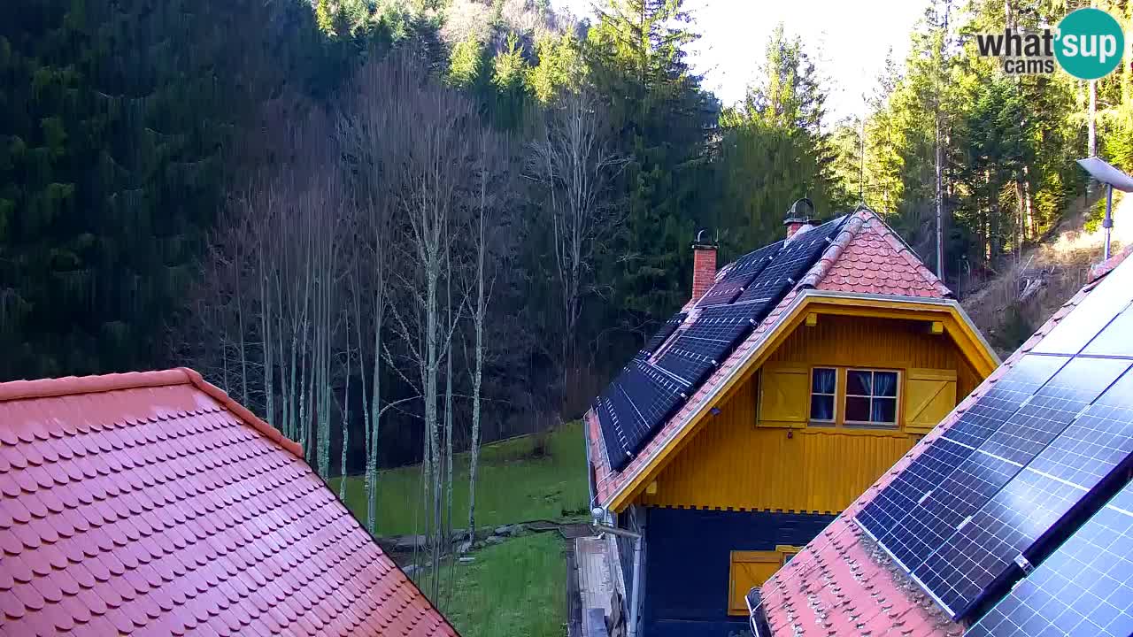 Webcam Lukanja – Pohorje houses a Water village