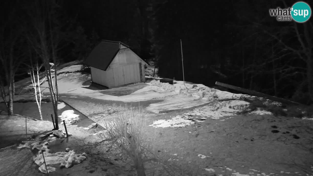 Web kamera Lukanja – Water Village | Pohorje Houses