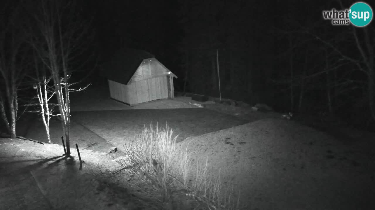 Webcam Lukanja – Water Village | Pohorje Houses