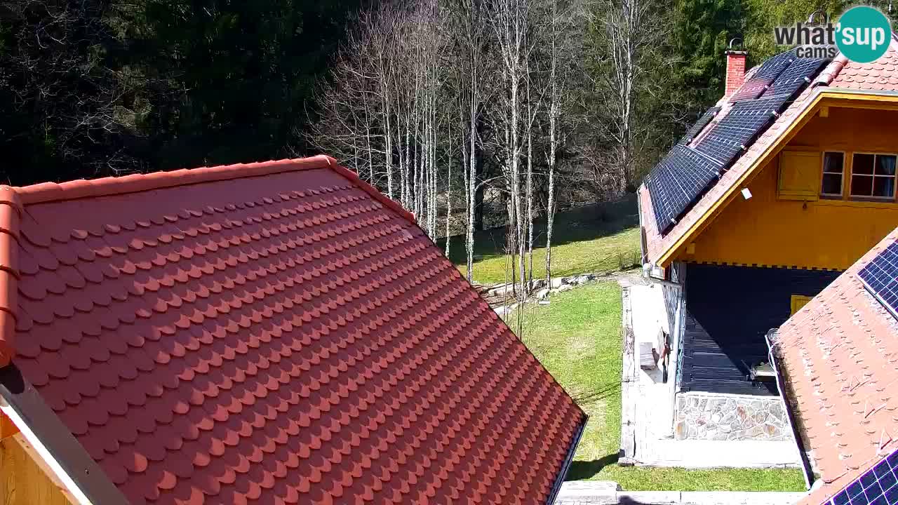 Webcam Lukanja – Pohorje houses a Water village