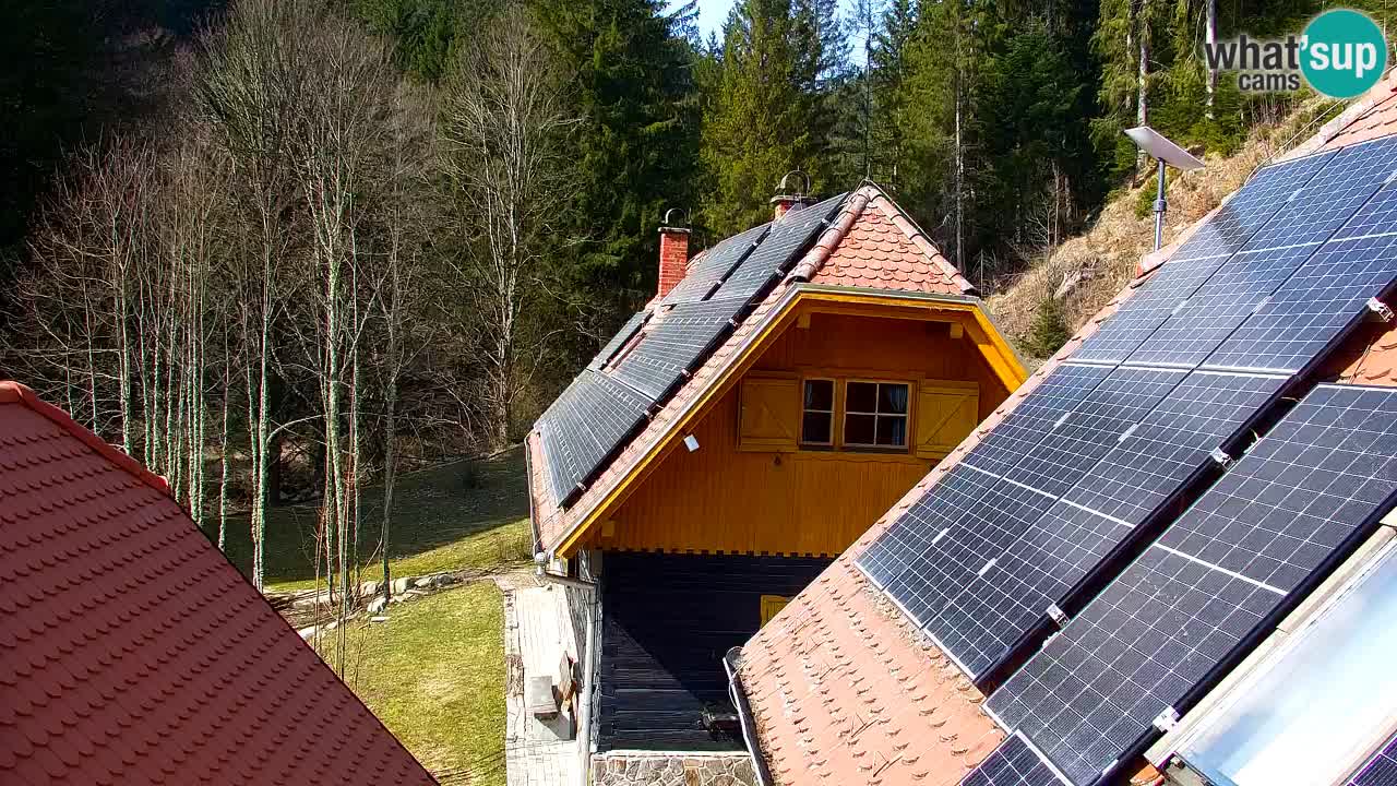 Webcam Lukanja – Water Village | Pohorje Houses