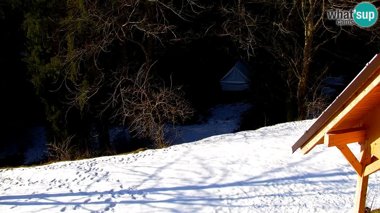 Webcam Lukanja – Water Village | Pohorje Houses